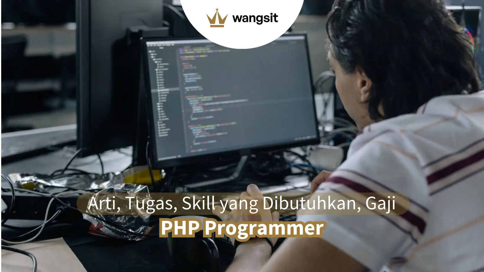 PHP Programmer