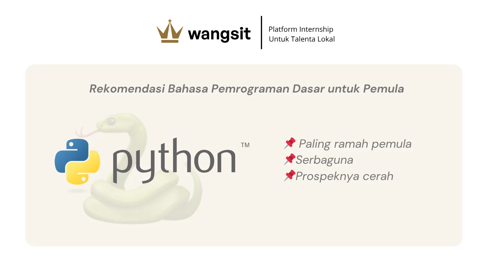 Rekomendasi Bahasa Pemrograman Dasar untuk Pemula yaitu python.